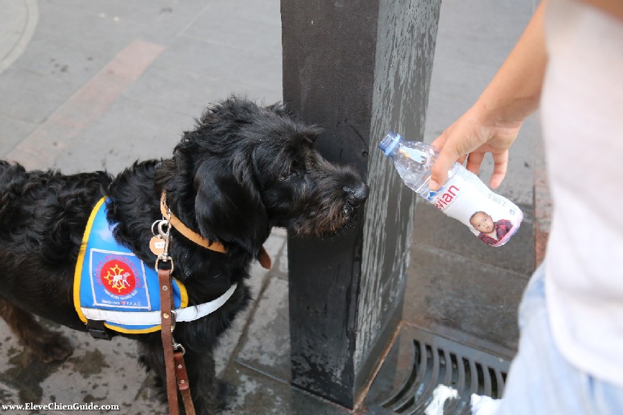 sortie rencontre toulouse