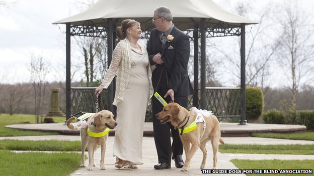 Awwww, couple marries after meeting through their guide dogs