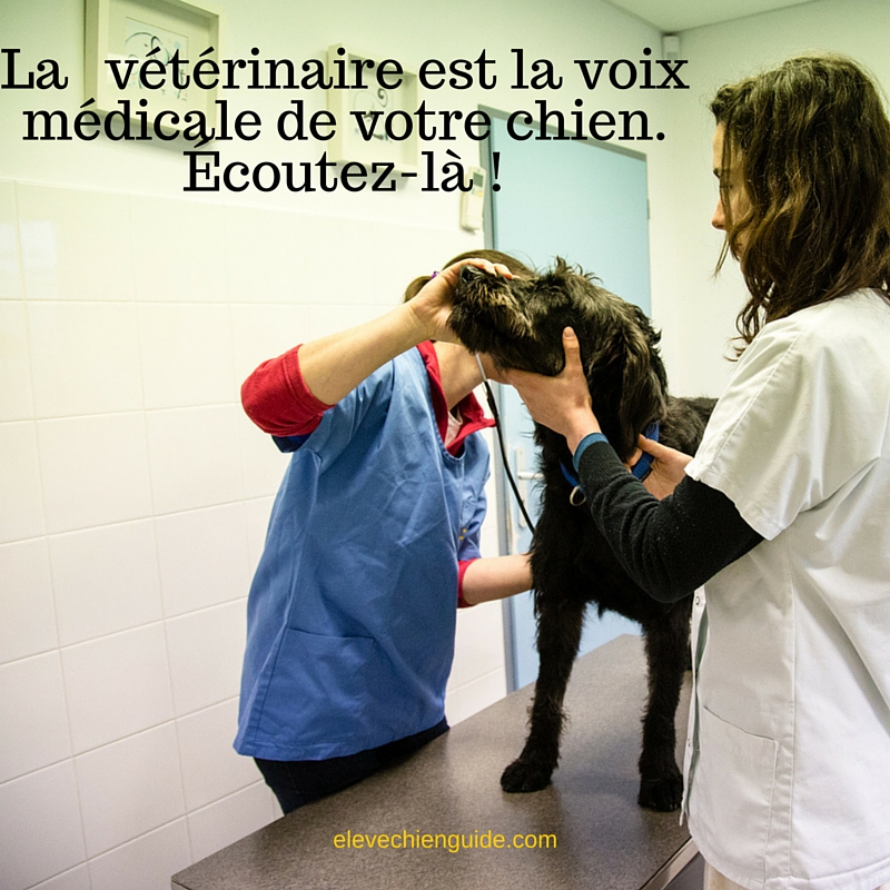 Votre vétérinaire est la voix médicale de votre animal